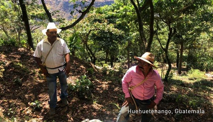 Two Male Coffee Farmers in Huehuetenango, Guatemala