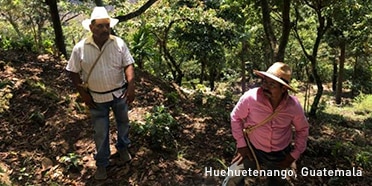 Two Male Coffee Farmers in Huehuetenango, Guatemala