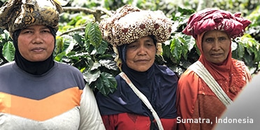 Three Female Coffee Farmers in Sumatra, Indonesia